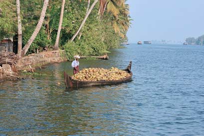 about-alleppey-backwaters